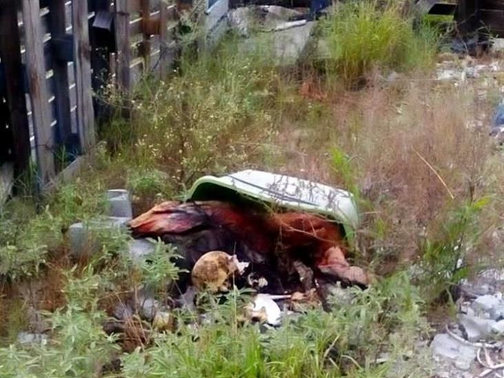 Hallan en García restos de mujer maniatada Hallan en García restos de mujer maniatada